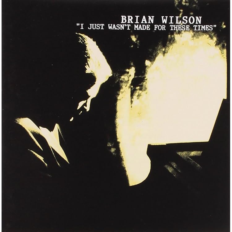 Brian Wilson : Wilson, Brian: Amazon.fr: CD et Vinyles}