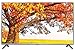 LG 80 cm (32 inches) 32LF550A HD Ready LED TV RS.22500.00