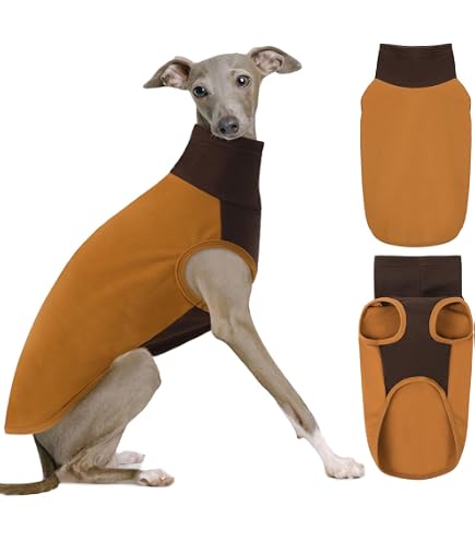 Pull Chaud à Col Roulé Pour Lévrier/whippet - Avec Capuche Amovible, élastique, Tailles XS à XXL (vert Militaire M)