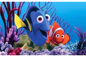 DVBQQWE Kit de peinture diamant 5D pour adultes - Peinture avec diamants Nemo à faire soi-même - Peinture par numéro - Avec strass - 30,5 x 40,6 cm