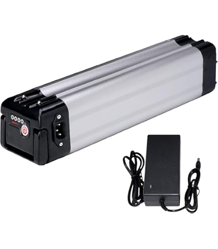 Batteria Bici Elettrica 24V Batteria Litio Per Bici Elettrica 24V - 10AH/ 20AH, Per Motori 250W-1000W, Con Caricabatterie E Protezione BMS Motore Per Bici Elettrica