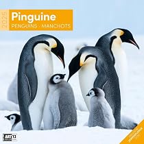 Pinguine 2023 Wandkalender – Mit Süßen Motiven & Viel Platz Zum Eintragen