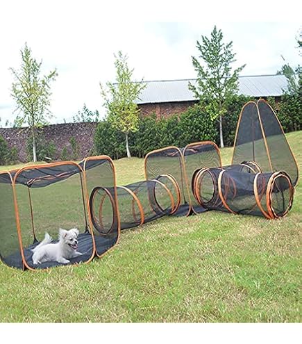 OYX 6-in-1 Katzengehege Outdoor & Indoor – Faltbares Zelt Mit Tunnel Für Katzen, Kaninchen & Kleintiere