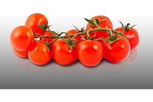 LE GRENIER D'ABONDANCE LES GRAINES QUI DONNENT ENVIE 100 graines à semer - Le Grenier d'Abondance - TOMATE Cerise - Spécial Cocktail