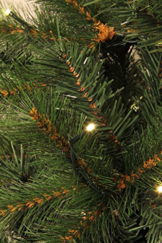 Black Box Trees 379106-01 Künstlicher Weihnachtsbaum Drummond Beleuchtet Höhe 185 cm Durchmesser 99 cm, 140 LED`s warm weiß, 488 Zweige, PVC Hart und Weichnadel - 3