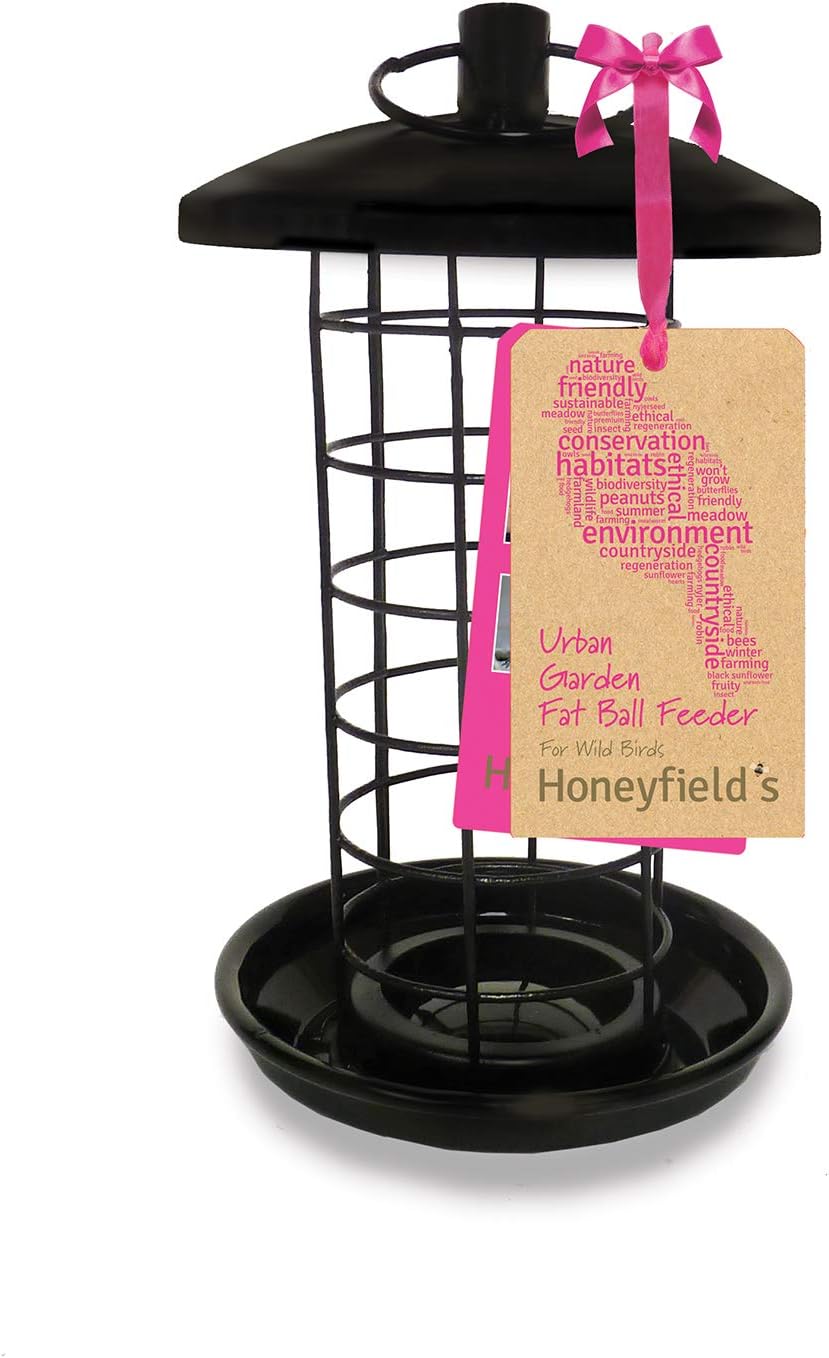 Honeyfields 71486697 Hanging Wild Bird Fatball Feeder, Urban Garden Design in Black & Metal for long lasting outdoor & garden use. Fat Ball Suet. Wild bird food feeder, 20.0 cm*11.2 cm*11.2 cm