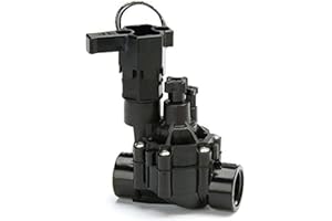 Rain Bird 100-DVF,1 inch BSPF 24vac Solenoid Valve