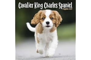 Cavalier King Charles Spaniel Puppies Mini Square Wall Calendar 2023
