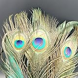 Eizur Maskerade Maske Aristokratische Pfau Gesichtsmaske Kunst Muster für Halloween Party Karneval Kostüm Cosplay Requisiten Fasching Party Verrücktes Kleid Ball - 