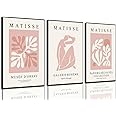 Djmwtb Matisse Abstract Canvas Wall Art Set of 3 Pink Flower Market Poster Prints Modern Aesthetic Pictures Minimalist Wall Decor Painting for Living Room Bedroom Bathroom 12"x16"x3 Unframed