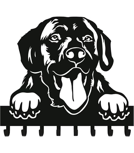 OneTigris Imbracatura di Supporto Invictus per Cani di Taglia Media e Grande, Con 3 Maniglie e Spallacci Regolabili