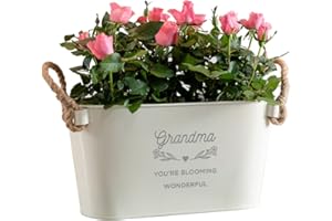 Dust and Things Engraved Flower Planter 'Grandma You're Blooming Wonderful' - Unique Indoor Outdoor Herb Plant Pots - Birthday for Grandma