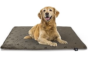 ‎HS-HUNDEBETT Made in Germany gepolsterte Hundedecke, Pfote Champagner 95 x 135cm für kleine & große Hunde I Flauschige Hundedecke, waschbar, trocknergeeignet