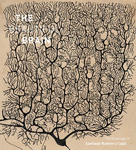The Beautiful Brain: The Drawings of Ramon y Cajal