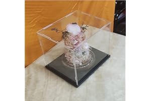 CEET Caja de exhibición Transparente de acrílico, Vitrina Multifuncional de exhibición de Colecciones a Prueba de Polvo, con Base Engrosada, para muñecas de Acción de Juguetes (10x8x8inch/25x20x20cm)