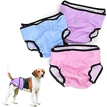 Pannolini Lavabili Per Cane Femmina BELLA & PAL - Mutandine Assorbenti Riutilizzabili, Taglia XS, 3 Pezzi - Foto 6