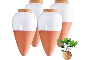 CHSEEO Ollas Terre Cuite à Planter, Oyas a Planter Terre Cuite, Arrosage Automatique et Ecologique pour Plante d'Intérieur et d'Extérieur, Système d'Irrigation Naturel, Mini Oyas Terracotta