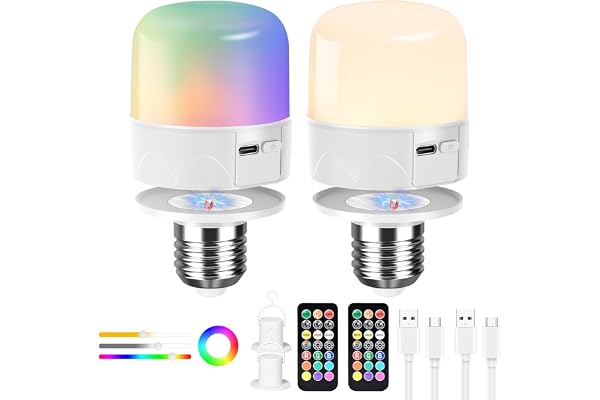 Birnetek 2pcs Rechargeable Light Bulb with Remote Control, USB-C Rechargeable LED Light, E27 Dimmable Touch Battery Lights, with Timer Function, Camping Spare Lamp with Magnet