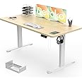 Devoko Electric Standing Desk 140x70cm with USB Charging Height Adjustable Desk with Desktop Sit Stand Up Desk Heavy Duty Steel 3 Memory Smart Pannel(Beige)
