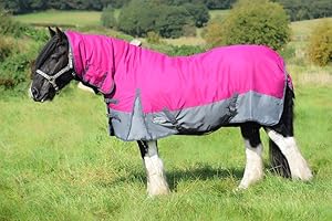 EQUITACK YOUR PASSION IS OUR MISSION Equitack Turnout Rug for Horses | Breathable Horse Blanket with High Neck | 600D Polyester, Lightweight 0g No Filling Horse Cover | Washable Rug (Raspberry/Grey 6'0'')