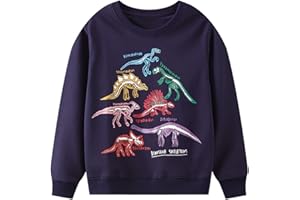 WINKEEY Garçon Sweat-Shirt Fluorescent Pull Enfant Imprimé Dinosaure Requin Manches Longues