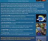 Image de Planète Bleue au coeur des océans