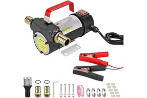 ANESTY Oil Diesel Transfer Pump, DC 12V Electric Fuel Transfer Pump, Portable Oil Extractor Pump for Tractor Caravan Truck with Spare Fan Blades, Sealing Rubber Rings, Fixing Screws ect.