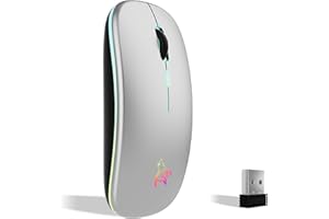 TQQ Mouse wireless ricaricabile, mouse retroilluminato a 7 colori con mini ricevitore USB da 2,4 GHz, mouse gaming, compatibile con laptop, PC, computer, Chromebook, Notebook e iPad Etc