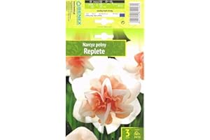 AGRONOM TESTED IN THE GARDEN AGRONOM | NARCISOS - REPLETE | Bulbos de flores perennes | Flores Blanco-Naranja | Se cultivan en jardines de flores, macetas, se plantan en céspedes en flor | Paquete de 3 bulbos de flores