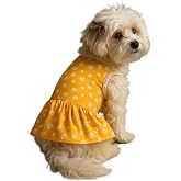 MPZ PETS Kedi ve K&ouml;pek Kıyafeti &amp; Elbisesi Sarı &Ccedil;i&ccedil;ekli Elbise S