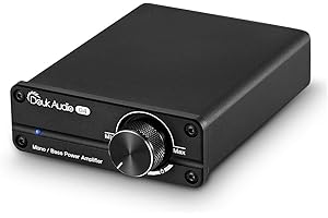 NOBSOUND Mini subwoofer jednokanałowy wzmacniacz mocy Mono Power Amplifier Subwoofer Wzmacniacz