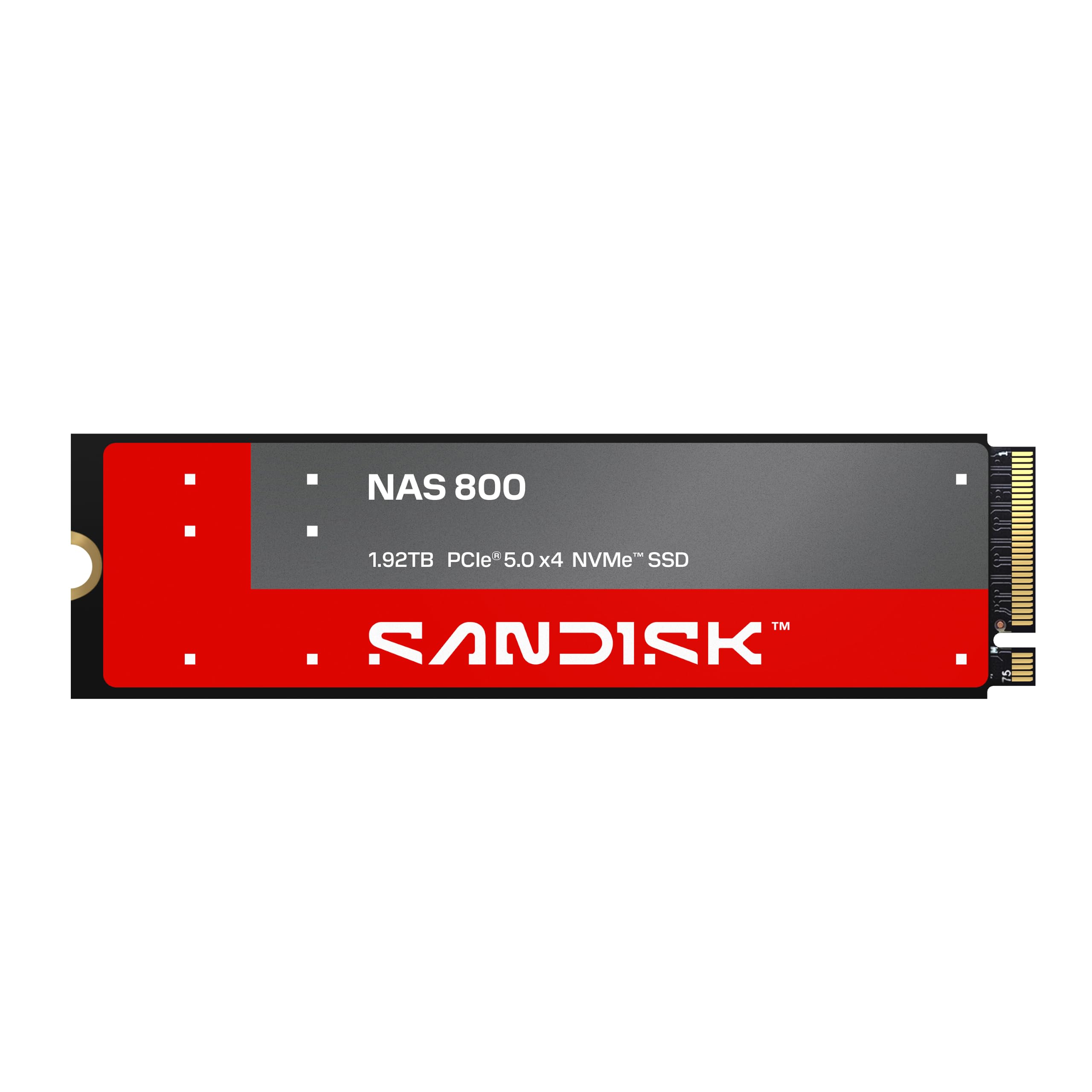 SanDisk NAS 800 NVMe SSD