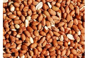 TBA Bird Whole Peanuts - Quality Fresh Feed for Wild Birds Garden (10KG)