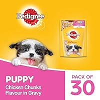 Pedigree Puppy Wet Dog Food, Chicken Chunks in Gravy, 30 Pouches (30 x 80g)