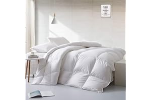 APSMILE Leichte Gänse Daunendecke, Sommerdecke 220x240cm, Hotel Collection Bettdecke mit Daunen und Federn, Steppdecke für warmes Wetter/heiße Schläfer (220x240cm, Weiß)