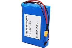 BDBLFLTZ Batterie de Remplacement étanche au Lithium-ION pour vélo électrique 36V 6Ah pour Moteur de vélo électrique 200W 250W 350W, avec Chargeur 42V 2A XT 60