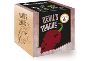Feel Green Ecocube Devil's Tongue 10 Scoville 125.000-325.000 Idée de Cadeau Durable (100% Ecofriendly), Grow Your Own/Culture végétale en Bois Fabriqué en Autriche