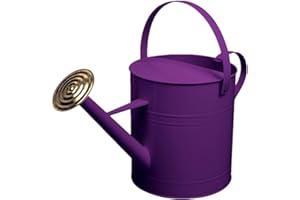 CrazyGadget Garden Plant Flower Colour Galvanised Metal Steel Watering Can 9L 9 Litre / 2 Gallon with Brass Rose (Purple)