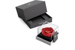 Nifeliz ROSEEVER NF10256 - Juego de construcción de flores artificiales, decoración única para el día de la madre, ideal para cumpleaños, aniversario o día de la madre, juguetes creativos de