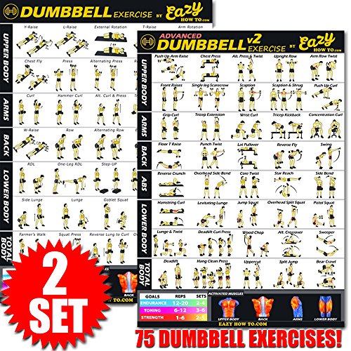 Eazy How To Hantel Workout Banner Poster Big 51 x 73 cm Zug Ausdauer, Ton, Build Stärke & Muscle Home Gym Diagramm, Complete Set