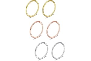 Briana Williams 6piezas Fake Anillo de la nariz Aro Septum Tragus Cartílago Pendiente Aro Piercing 22G 20G 18G 16G 6/8/10/12mm Acero inoxidable Faux Joyería Piercing