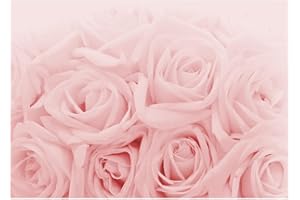 Runa Art Papier peint intissé fleurs roses 352 x 250 cm Toison Mur XXL Tableaux Muraux Tapisserie Photo Décoration Murale Salon Chambre rose 9258011a