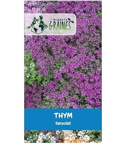 Graines De Thym Serpolet Rouge – 10 000 Graines – Vivace Couvre-sol – Floraison Rose Printemps/été – Résistant Sécheresse