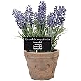 Esschert's Design AH010 Large Artificial Aged Terracotta Pot - Lavender