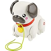 Fisher-Price Minik Dostumla Y&uuml;r&uuml;y&uuml;ş Sesli ve hareketli Fisher-Price FP Pets Y&uuml;r&uuml;y&uuml;ş Arkadaşı K&ouml;pek&ccedil;ik &ccedil;ek&ccedil;ekli bebek oyuncağı