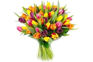 DARICO Mixed Tulips Fresh Flower Bouquet - Charming Display of Tulips, Suitable for All Occasions.Perfect Mother's Day Fresh Flower Gift
