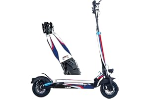 STYLISH SCOOTERS Vinyles pour Trottinette électrique modèle Smartgyro