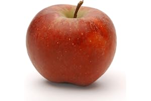 AMOREBIO Obst & Gemüse Bio Apfel Gala (1 x 1000 gr)