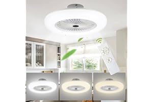 Vigevee 80W Ventilador de techo con luz, Regulable LED Ventiladores para el Techo con Lámpara, 3 Velocidades Ajustable, silencioso lámpara de techo con ventilador Con Mando, φ55CM