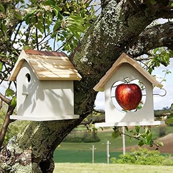 Eco Range Apple Bird Feeder Birds Bird Wildlife Care Garden